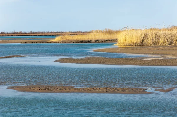 bahar bozkır nehirde. nehir sazlık ile büyümüş. saf zümrüt sudur