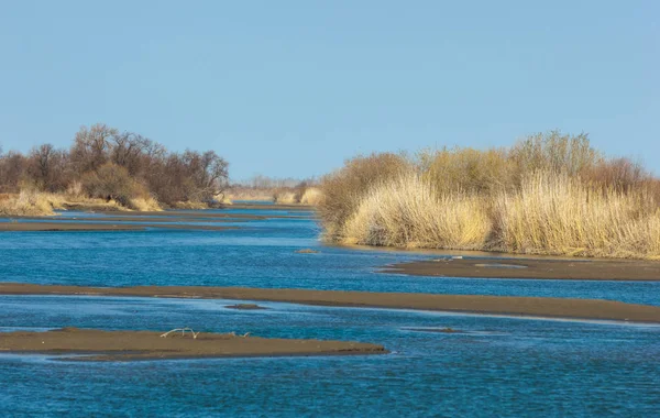 Río Estepa Primavera Ribera Cubierta Juncos Agua Pura Esmeralda — Foto de Stock