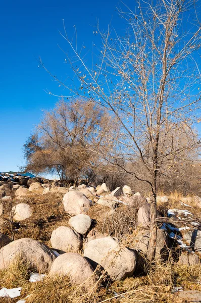 Sıcak, sevgi güneş son bahar kar