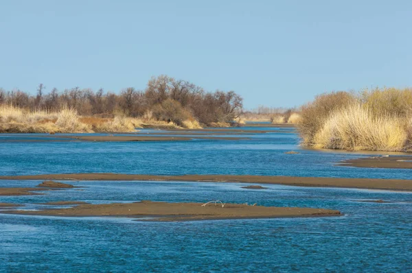 Río Estepa Primavera Ribera Cubierta Juncos Agua Pura Esmeralda — Foto de Stock