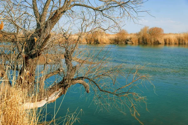 bahar bozkır nehirde. nehir sazlık ile büyümüş. saf zümrüt sudur
