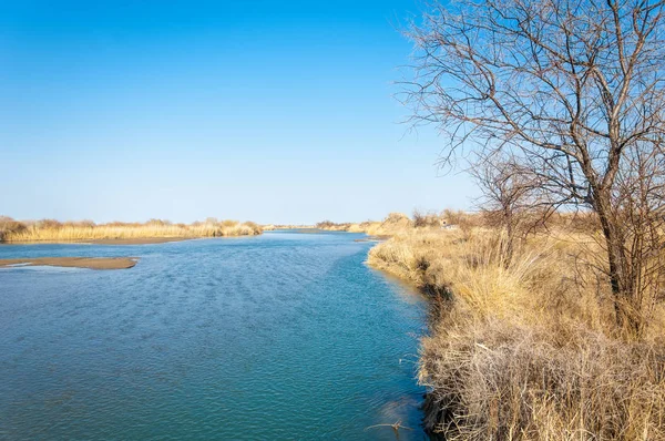 bahar bozkır nehirde. nehir sazlık ile büyümüş. saf zümrüt sudur