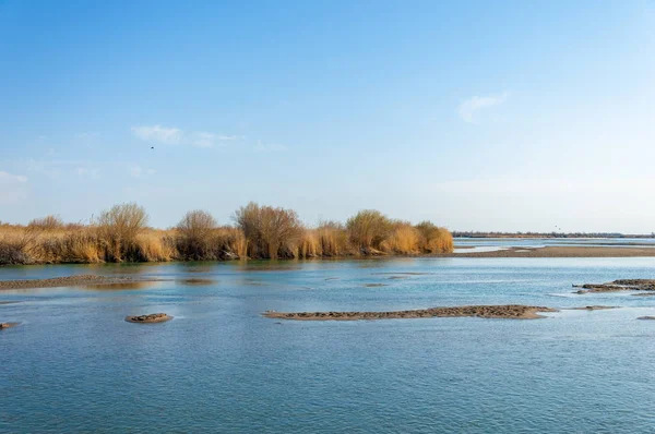 bahar bozkır nehirde. nehir sazlık ile büyümüş. saf zümrüt sudur