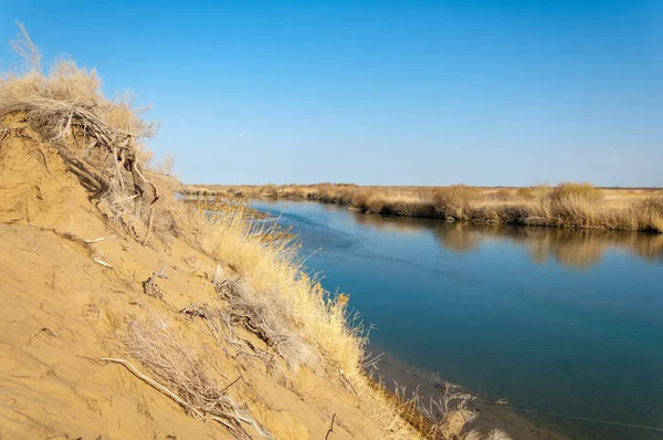 bahar bozkır nehirde. nehir sazlık ile büyümüş. saf zümrüt sudur