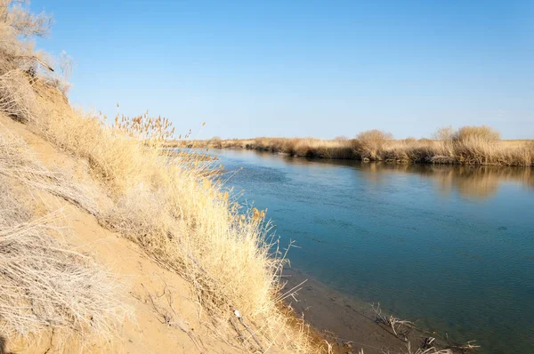 Fiume Steppa Primavera Riva Del Fiume Ricoperta Canne Acqua Puro — Foto Stock