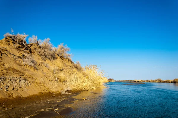 bahar bozkır nehirde. nehir sazlık ile büyümüş. saf zümrüt sudur