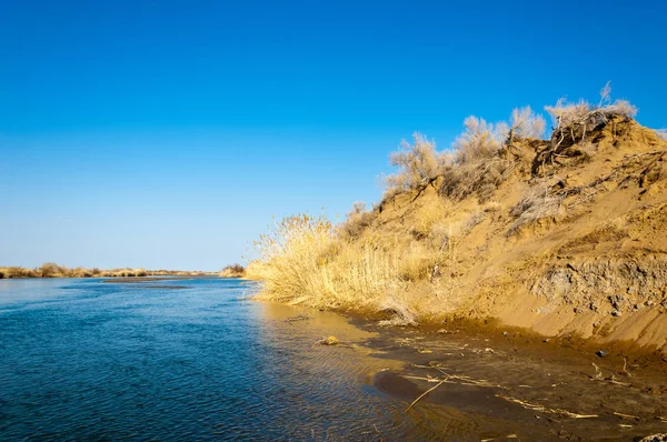 Río Estepa Primavera Ribera Cubierta Juncos Agua Pura Esmeralda — Foto de Stock