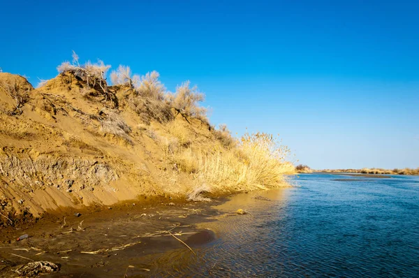 bahar bozkır nehirde. nehir sazlık ile büyümüş. saf zümrüt sudur
