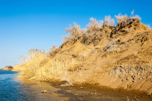 bahar bozkır nehirde. nehir sazlık ile büyümüş. saf zümrüt sudur