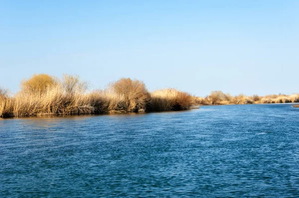 bahar bozkır nehirde. nehir sazlık ile büyümüş. saf zümrüt sudur