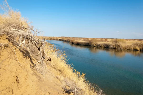 bahar bozkır nehirde. nehir sazlık ile büyümüş. saf zümrüt sudur