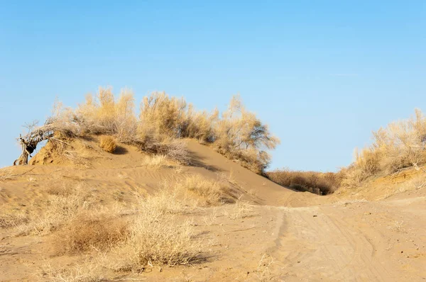 Sıcak, sevgi güneş son bahar kar