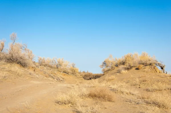 bahar bozkır nehirde. nehir sazlık ile büyümüş. saf zümrüt sudur