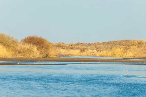 bahar bozkır nehirde. nehir sazlık ile büyümüş. saf zümrüt sudur