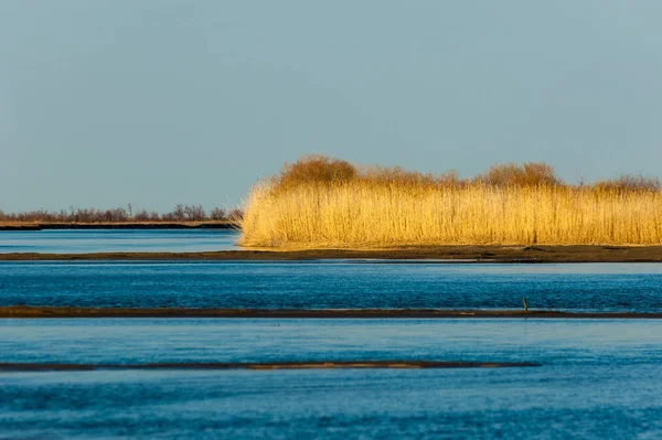 bahar bozkır nehirde. nehir sazlık ile büyümüş. saf zümrüt sudur