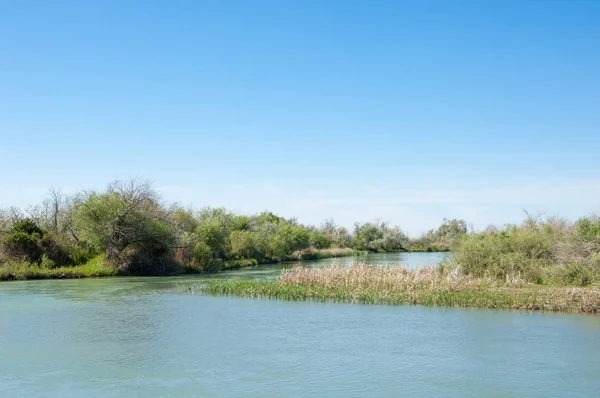 Bozkır nehir sazlık yaz. nehir görünümünde kez izlendi. küçük mavi nehir kıyısında güneşli bir gün