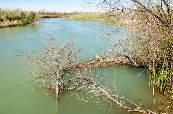 Bozkır nehir sazlık yaz. nehir görünümünde kez izlendi. küçük mavi nehir kıyısında güneşli bir gün