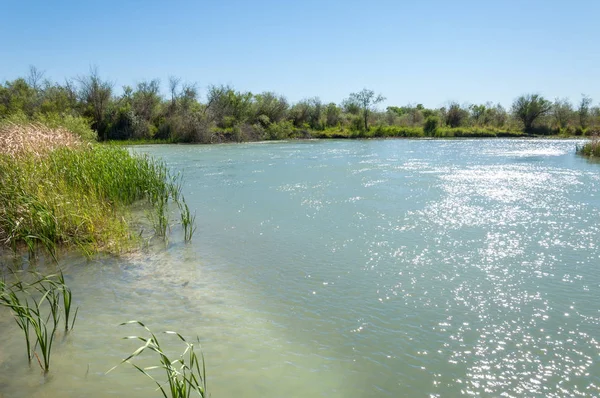 Bozkır nehir sazlık yaz. nehir görünümünde kez izlendi. küçük mavi nehir kıyısında güneşli bir gün