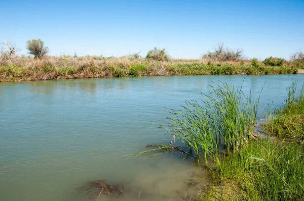 Bozkır nehir sazlık yaz. nehir görünümünde kez izlendi. küçük mavi nehir kıyısında güneşli bir gün