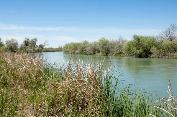 Bozkır nehir sazlık yaz. nehir görünümünde kez izlendi. küçük mavi nehir kıyısında güneşli bir gün
