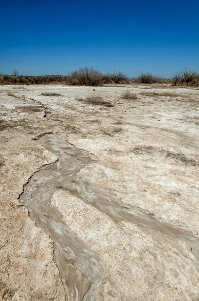tuzlu su, tuz bataklığı. Etkin badlands. Tek çalı. Kazakistan
