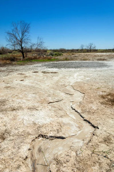 tuzlu su, tuz bataklığı. Etkin badlands. Tek çalı. Kazakistan