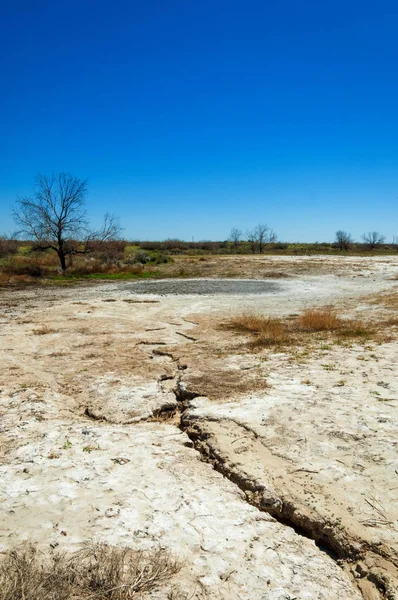 tuzlu su, tuz bataklığı. Etkin badlands. Tek çalı. Kazakistan