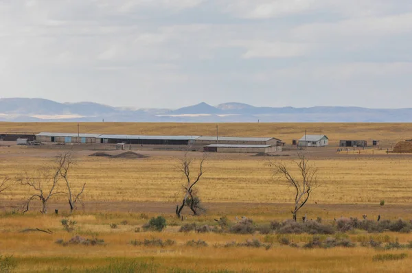 Woodless, zavallı nemi ve genellikle düz ile kuru iklim bölgesinde otsu bitki örtüsü bozkır. çayır, veld, veldt