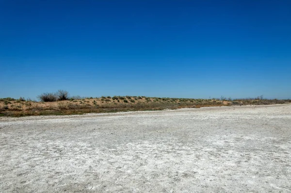 tuzlu su, tuz bataklığı. Etkin badlands. Tek çalı. Kazakistan