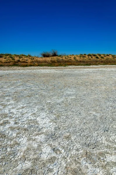 Solución Salina Salina Etosha Badlands Solo Arbusto Kazajstán — Foto de Stock