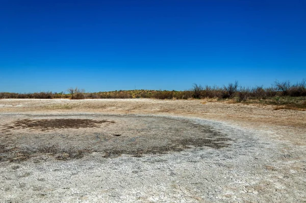 tuzlu su, tuz bataklığı. Etkin badlands. Tek çalı. Kazakistan