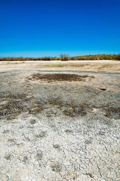 tuzlu su, tuz bataklığı. Etkin badlands. Tek çalı. Kazakistan