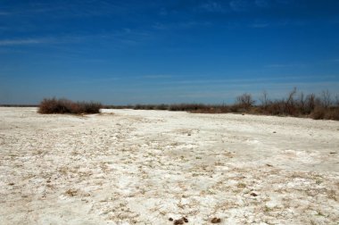 tuzlu su, tuz bataklığı. Etkin badlands. Tek çalı. Kazakistan