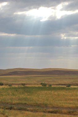 Woodless, zavallı nemi ve genellikle düz ile kuru iklim bölgesinde otsu bitki örtüsü bozkır. çayır, veld, veldt