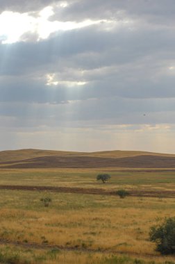 Woodless, zavallı nemi ve genellikle düz ile kuru iklim bölgesinde otsu bitki örtüsü bozkır. çayır, veld, veldt
