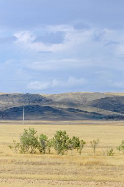 Woodless, zavallı nemi ve genellikle düz ile kuru iklim bölgesinde otsu bitki örtüsü bozkır. çayır, veld, veldt