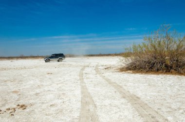 tuzlu su, tuz bataklığı. Etkin badlands. Tek çalı. Kazakistan