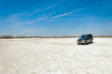 tuzlu su, tuz bataklığı. Etkin badlands. Tek çalı. Kazakistan