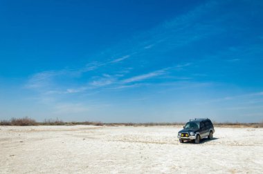 tuzlu su, tuz bataklığı. Etkin badlands. Tek çalı. Kazakistan