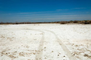 tuzlu su, tuz bataklığı. Etkin badlands. Tek çalı. Kazakistan