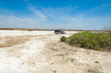 tuzlu su, tuz bataklığı. Etkin badlands. Tek çalı. Kazakistan