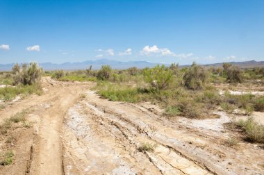  Bozkır yaz. Turgai kapısı. Turgai Kaydet. Milli Parkı 