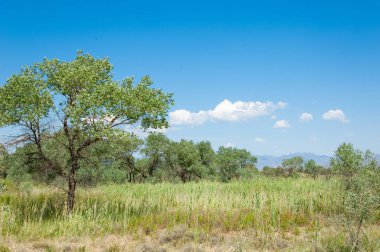  Bozkır yaz. Turgai kapısı. Turgai Kaydet. Milli Parkı 