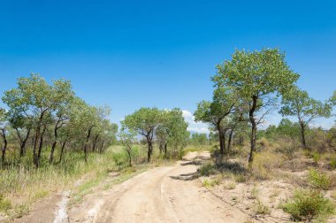  Bozkır yaz. Turgai kapısı. Turgai Kaydet. Milli Parkı 