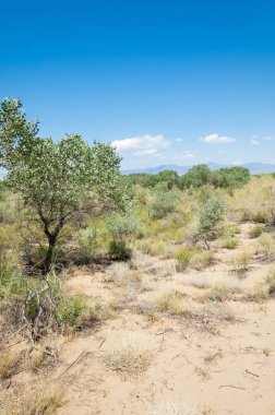  Bozkır yaz. Turgai kapısı. Turgai Kaydet. Milli Parkı 
