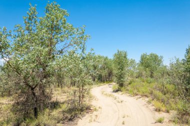  Bozkır yaz. Turgai kapısı. Turgai Kaydet. Milli Parkı 