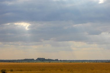 Woodless, zavallı nemi ve genellikle düz ile kuru iklim bölgesinde otsu bitki örtüsü bozkır. çayır, veld, veldt