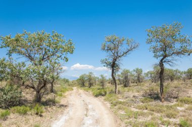  Bozkır yaz. Turgai kapısı. Turgai Kaydet. Milli Parkı 