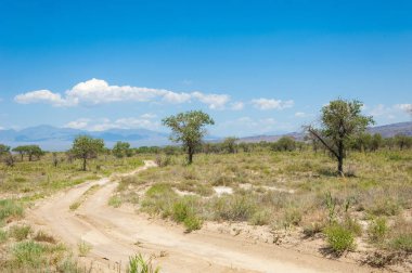  Bozkır yaz. Turgai kapısı. Turgai Kaydet. Milli Parkı 