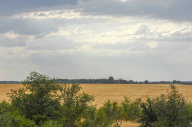Woodless, zavallı nemi ve genellikle düz ile kuru iklim bölgesinde otsu bitki örtüsü bozkır. çayır, veld, veldt